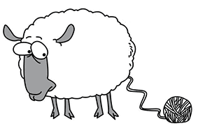 Sheep Dipping NSW and Livestock contractor in NSW