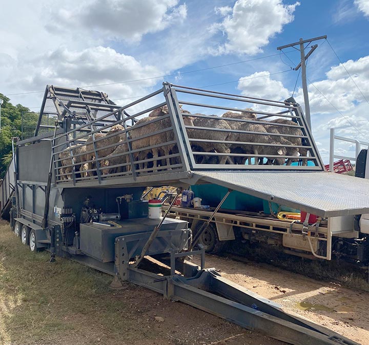 Livestock contractor NSW